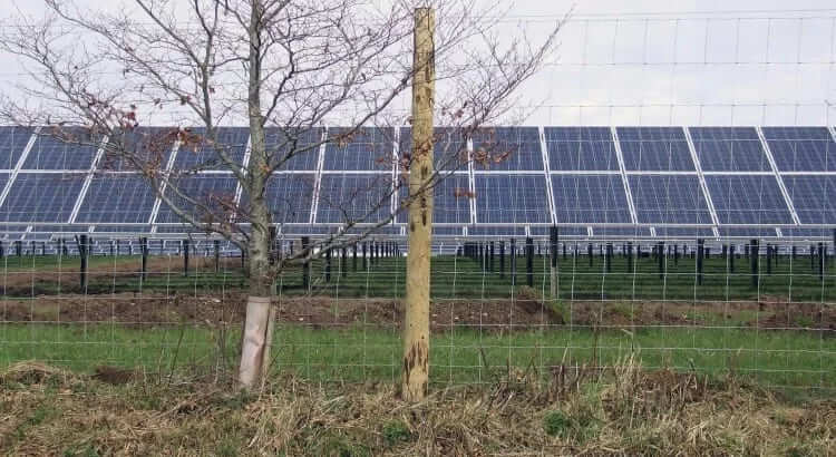 Solar Farm Fence Installation New Preston, Litchfield, CT